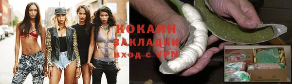 гидра Алексин