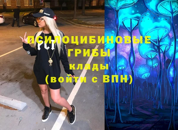 ПСИЛОЦИБИНОВЫЕ ГРИБЫ Алзамай