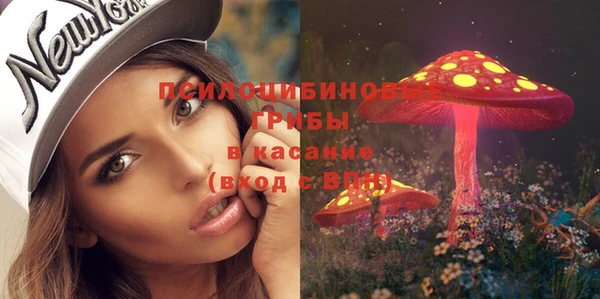 гидра Алексин