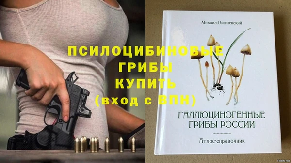 гидра Алексин
