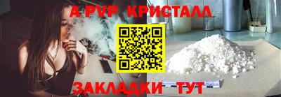 стаф Владимир