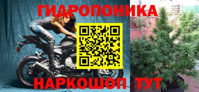 стаф Владимир