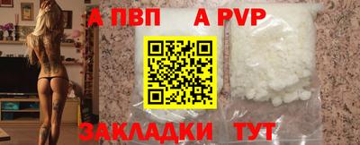 стаф Владимир